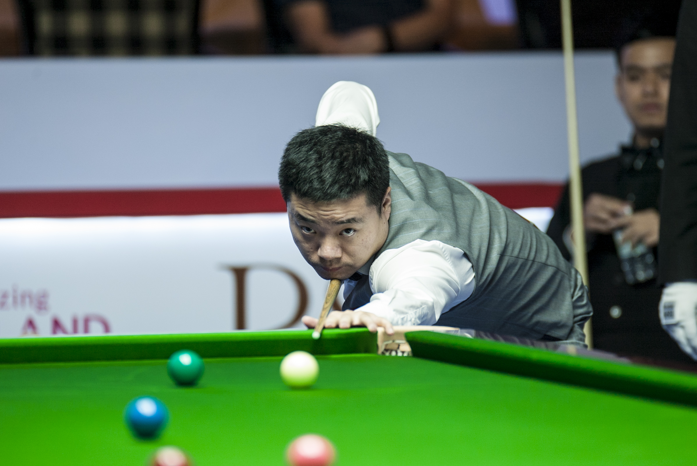 了令人惊叹 了令人惊叹